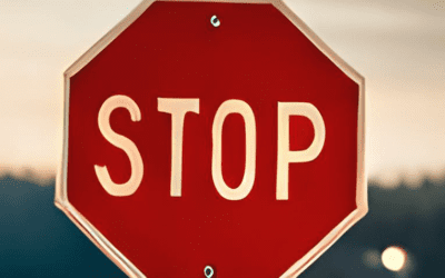 Stop Sabotaging My Website(s)!